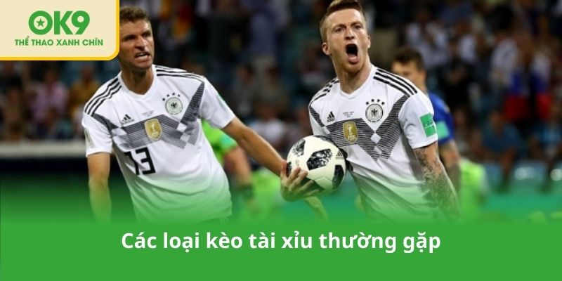 Các loại kèo tài xỉu thường gặp