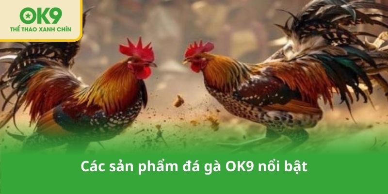 Các sản phẩm đá gà OK9 nổi bật