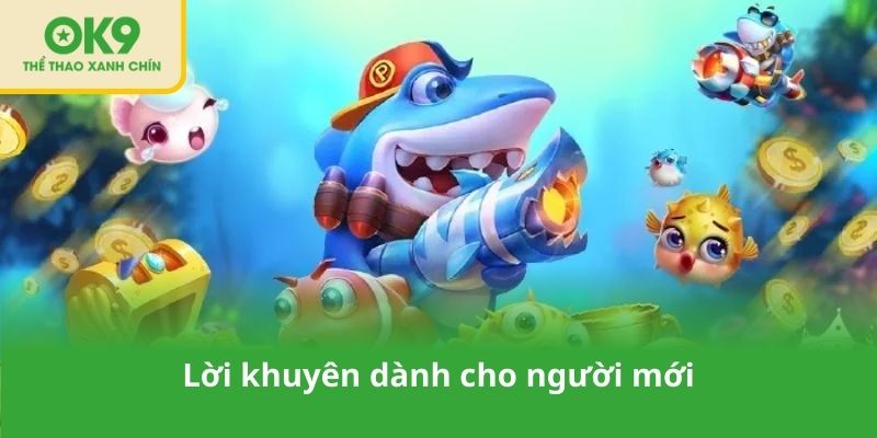 Lời khuyên dành cho người mới