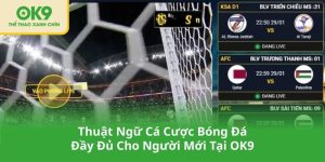 Thuật Ngữ Cá Cược Bóng Đá Đầy Đủ Cho Người Mới Tại OK9