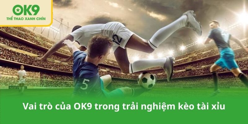 Vai trò của OK9 trong trải nghiệm kèo tài xỉu